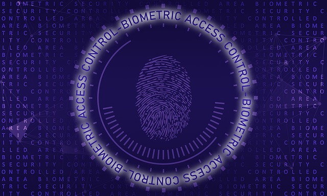 biometric-4503070_640